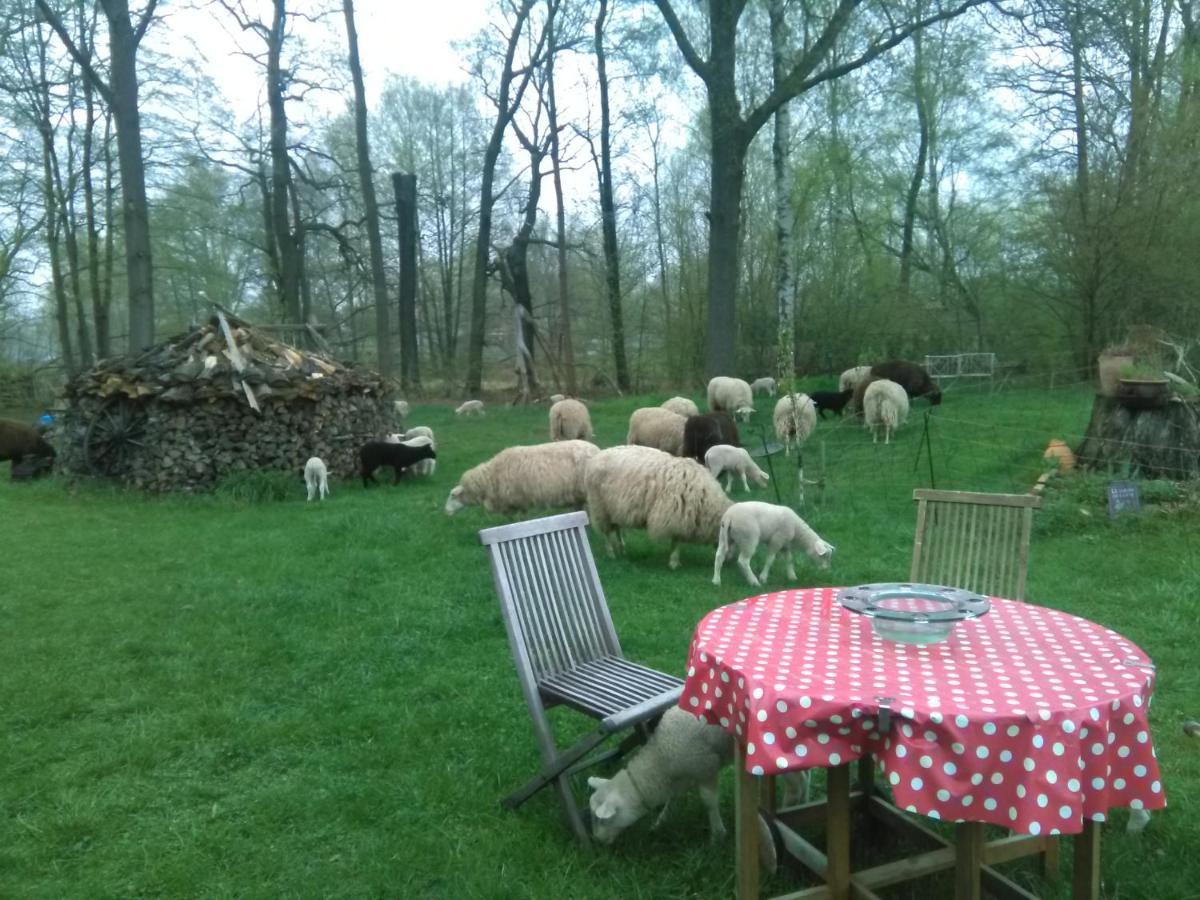 Ferienhof "Zum Spreewaeldchen" Burg  Esterno foto
