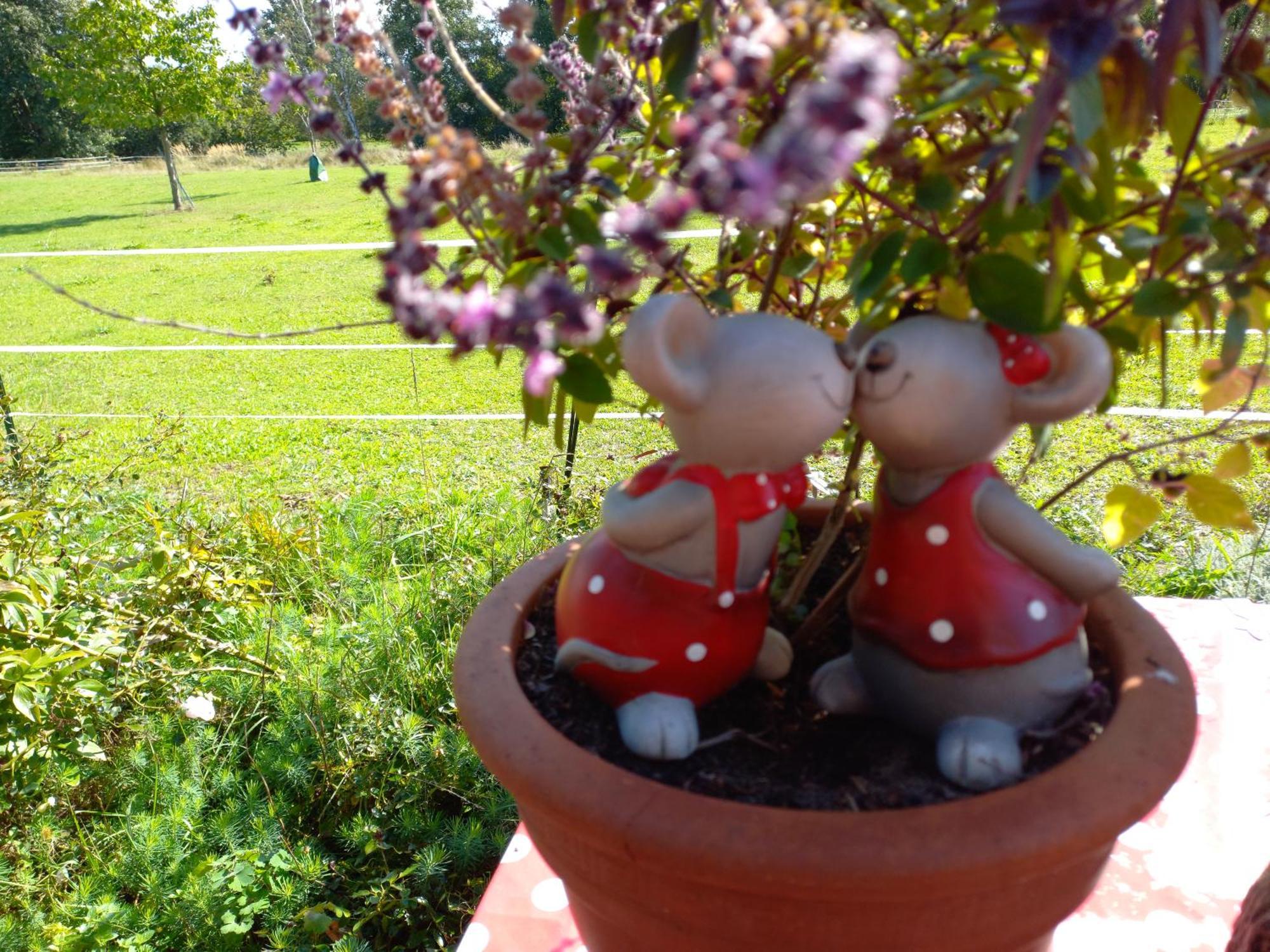 Ferienhof "Zum Spreewaeldchen" Burg  Esterno foto